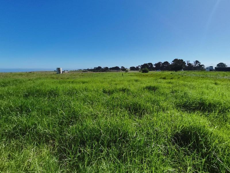 0 Bedroom Property for Sale in George Rural Western Cape